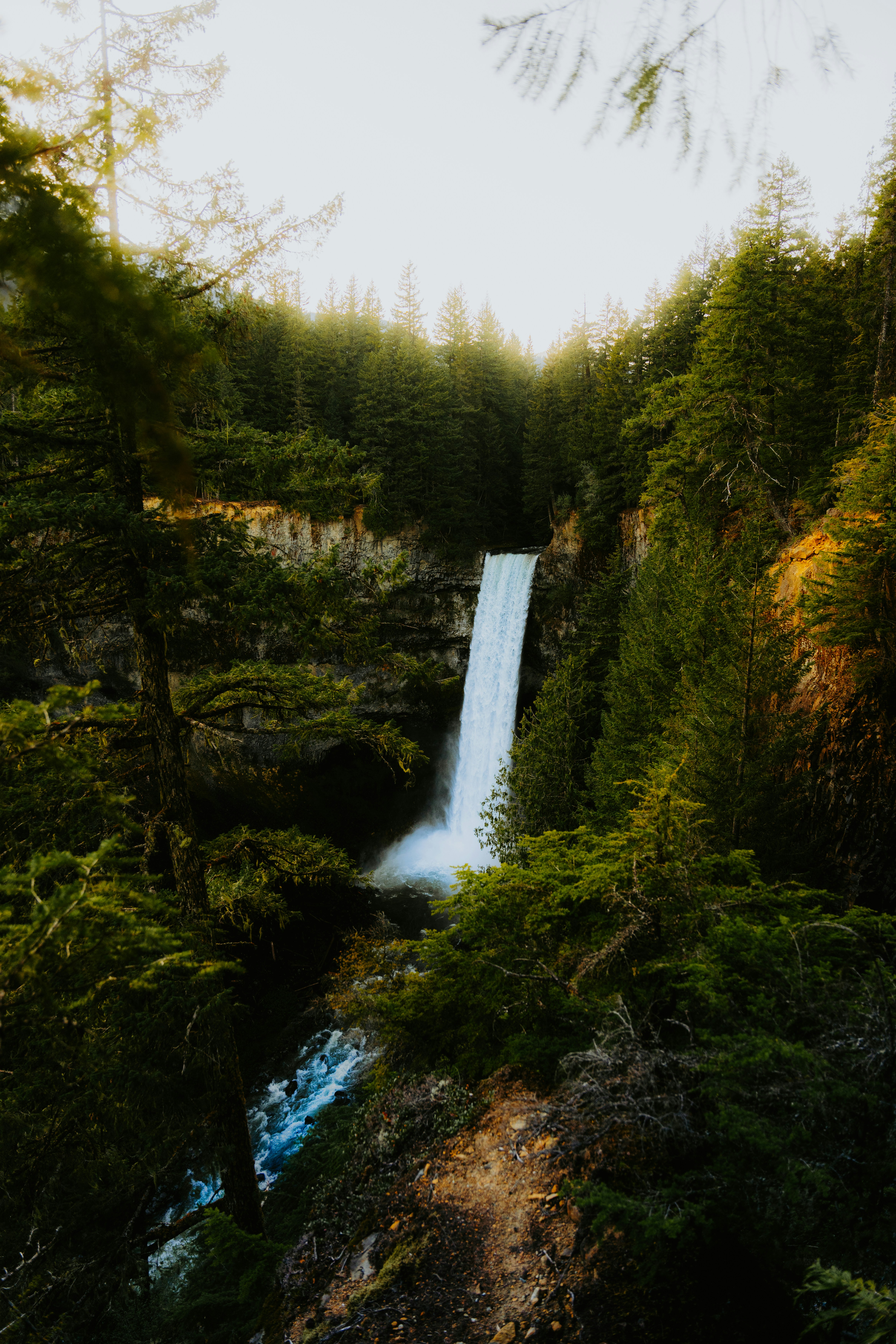 Majestic waterfall that is representative of the Pacific Northwest.